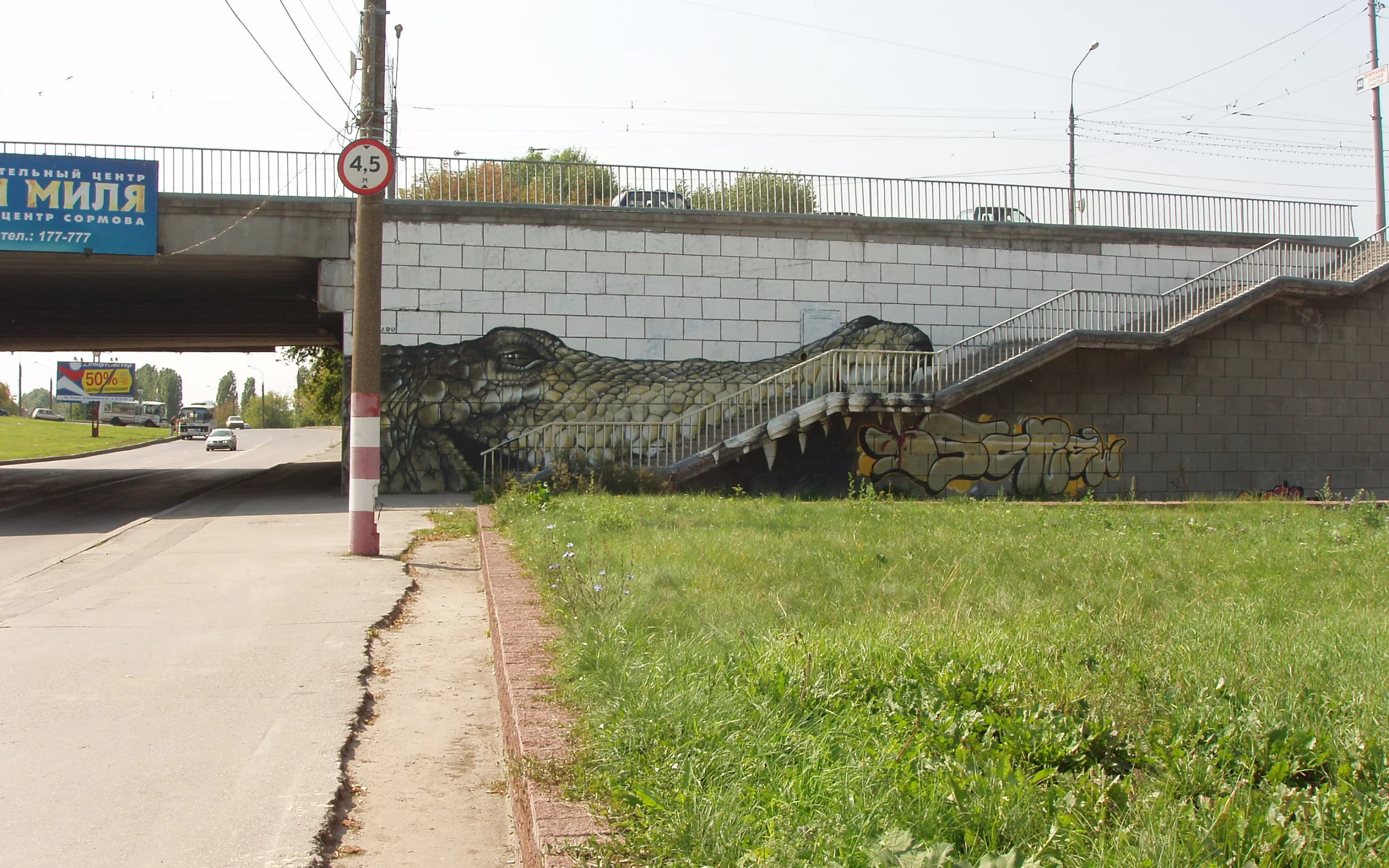графика, рептилия