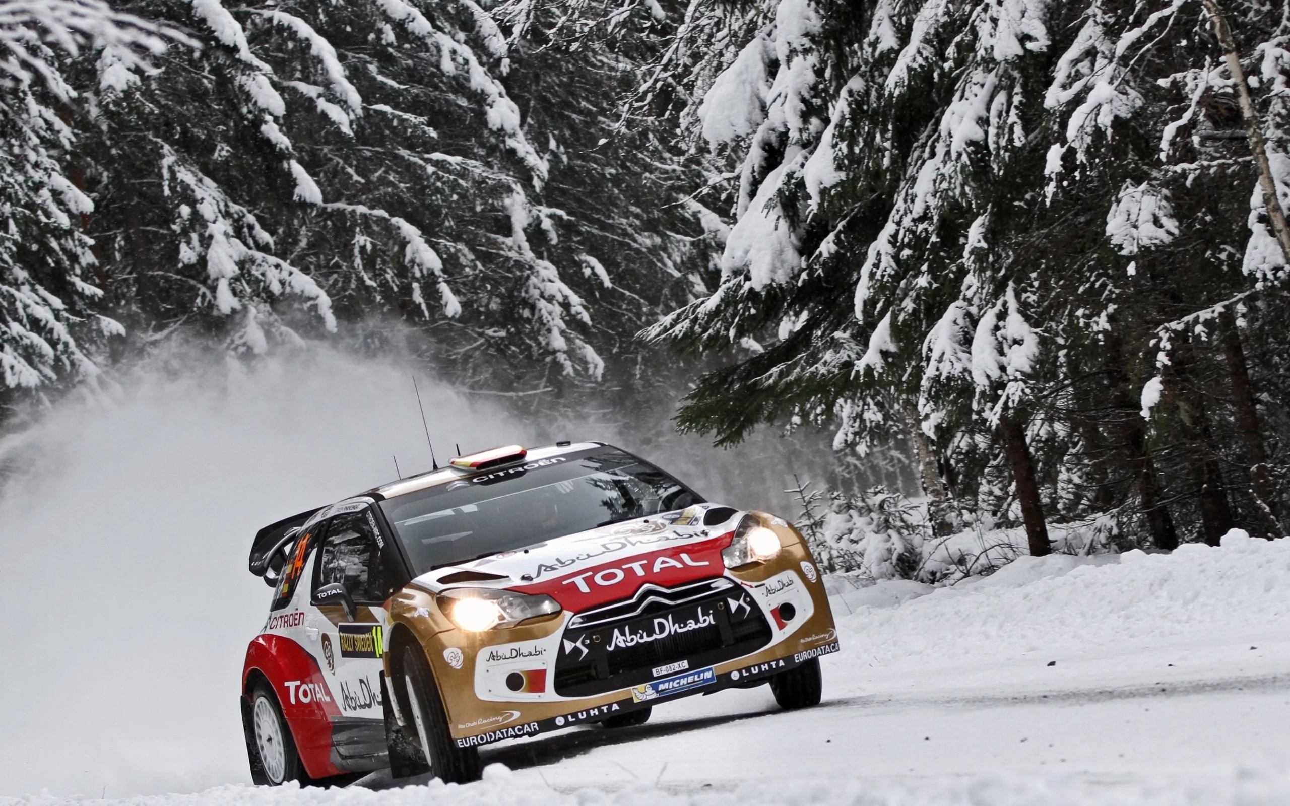 citroen, передок, фары, лес, снег, елки, wrc, ds3, rally, зима