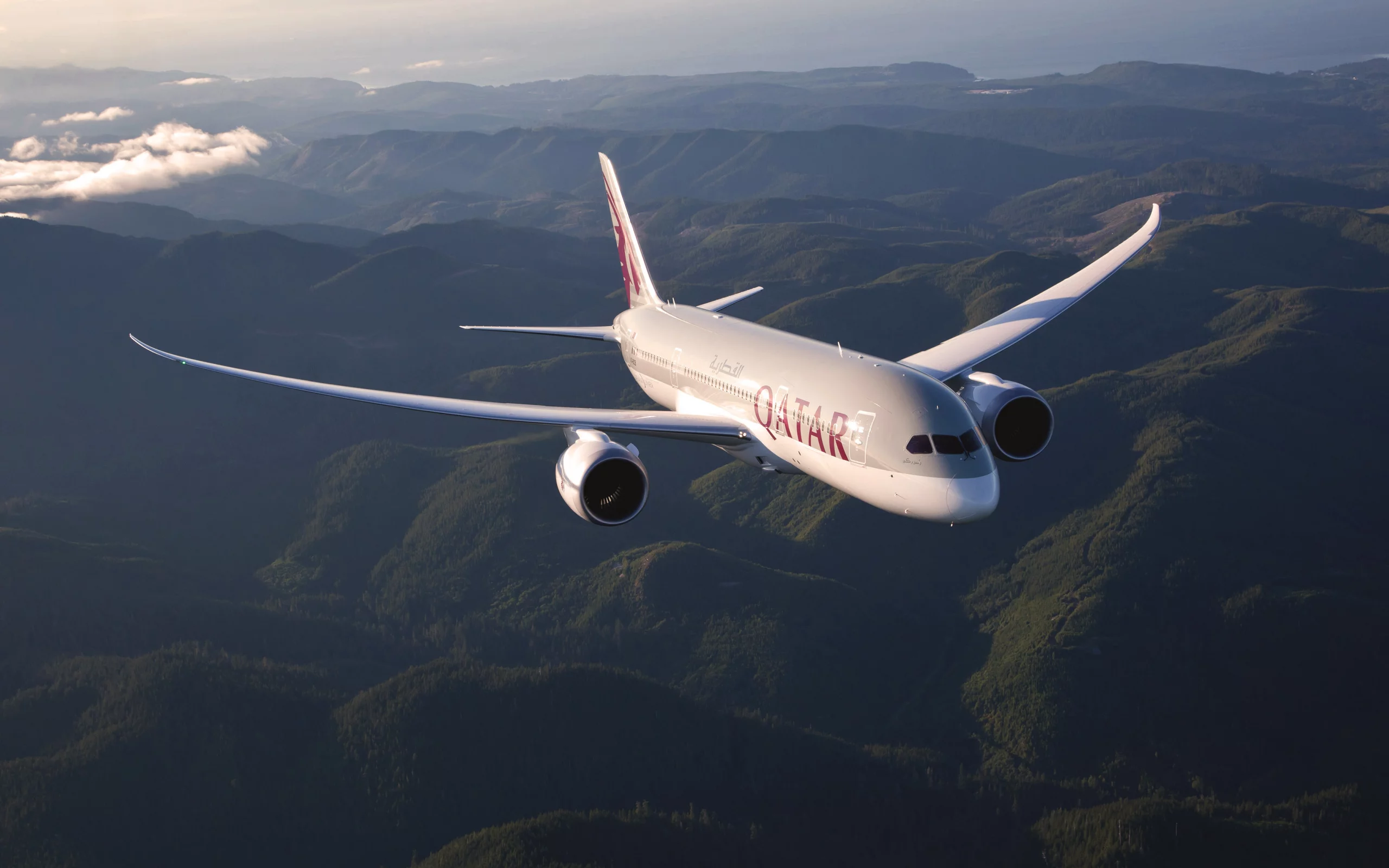 в воздухе, самолет, qatar airways, 787, boeing, авиация, летит
