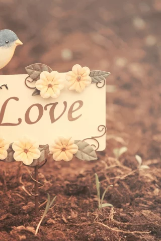 настроения, лююовь, природа, листья, love, птичка, птица