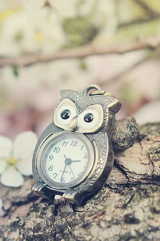 nature, devianart, oil, time of lovely flowers, silvermoonswan