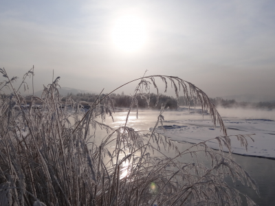 утро, река, замерзает, пар, трава, снег, сибирь