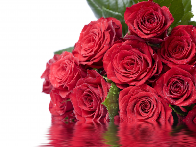 дорогие дамы с 8 марта!, листья, розы, красные, цветы