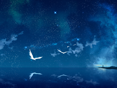 арт, море, звездное небо, маяк, птицы, ночь, tokumu kyuu