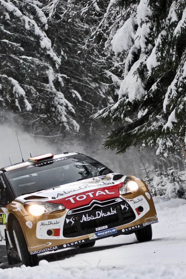 citroen, передок, фары, лес, снег, елки, wrc, ds3, rally, зима