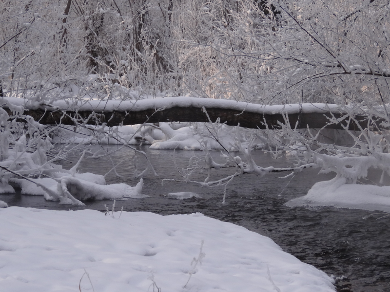 зима, холодно, река, снег, деревья