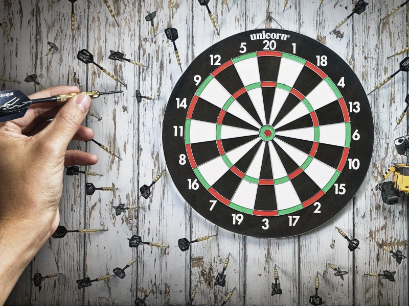 darts, спорт, чемпион