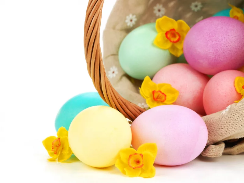 пасха, нарциссы, яйца, easter
