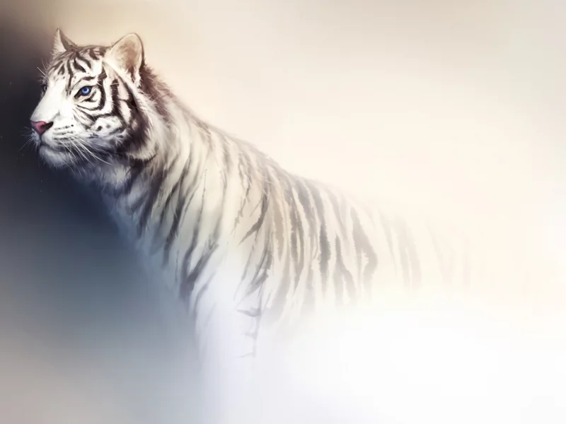 фон, свет, тигр, арт, дикая кошка, белый, хищник