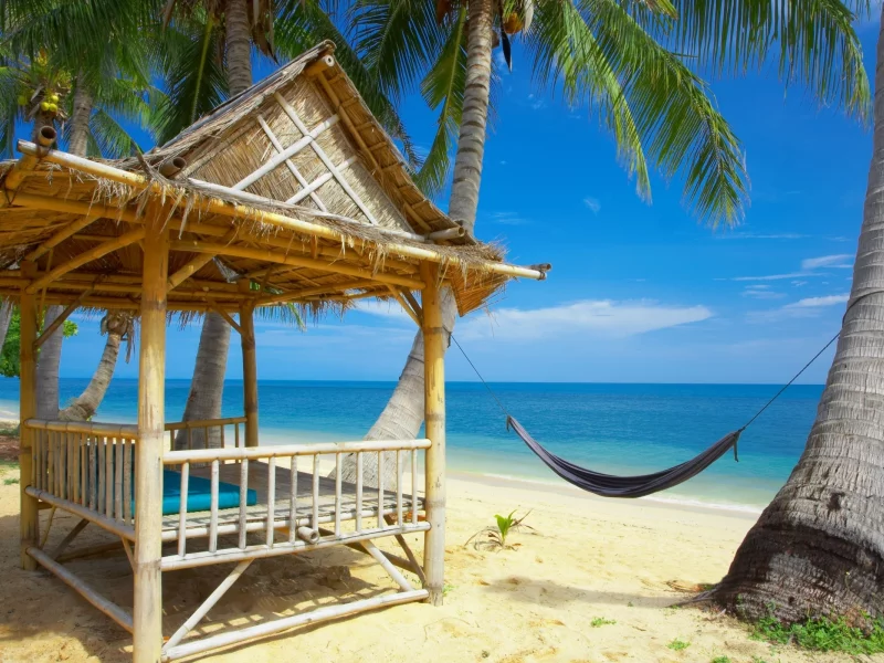 palm trees, the sea, the sky, пляж, небо, the beach, гамак, пальмы, море