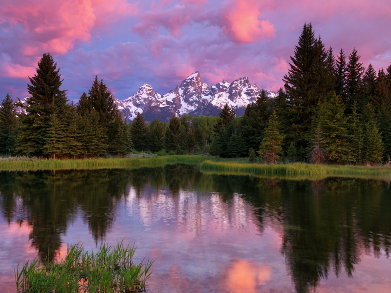 lake, reflection, usa, sky, mountains, wyoming, forest, grand teton national park, clouds, trees