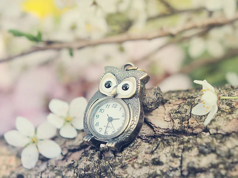 nature, devianart, oil, time of lovely flowers, silvermoonswan