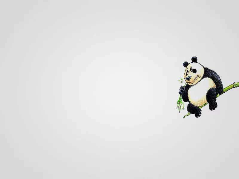 минимализм, сидит, ветка, животное, панда, panda, кушает