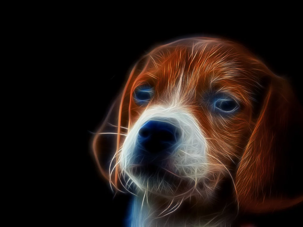 собака, 3d