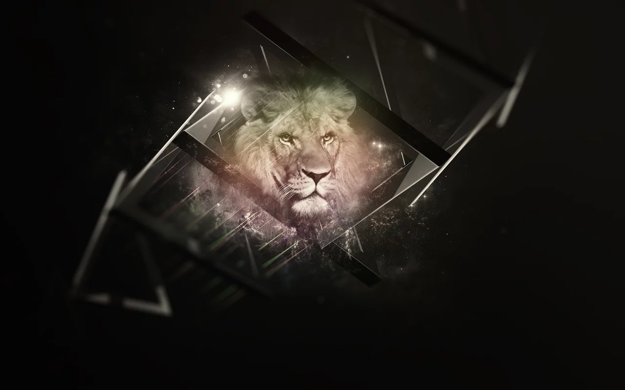 background, black, lion