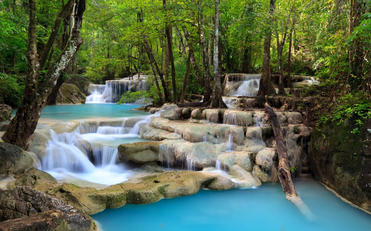nature, , sky, sea, waterfall, leaves, beautiful, trees, deep forest, landscape, lake, clouds