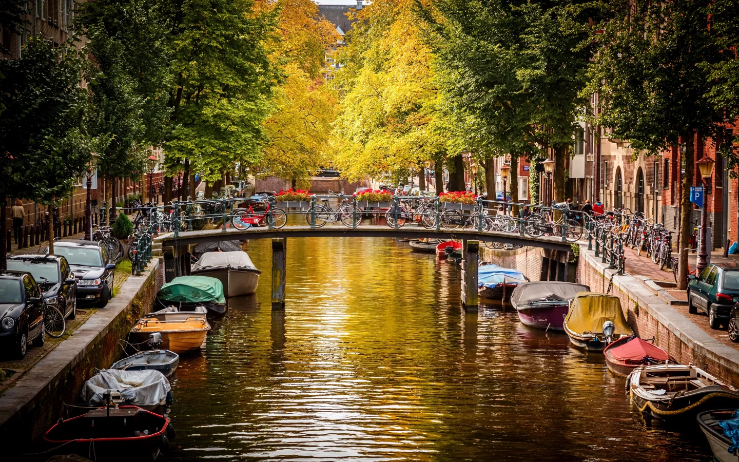 мост, amsterdam, nederland, нидерланды, амстердам, город