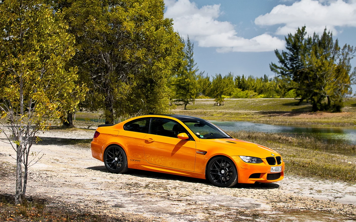 bmw m3, бмв, купе, деревья, природа