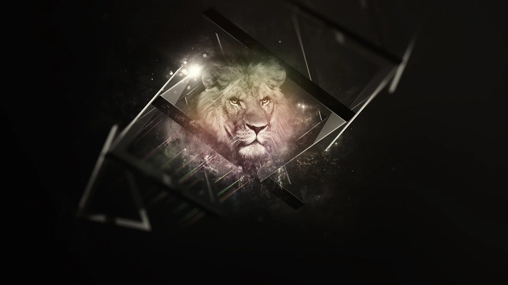 background, black, lion