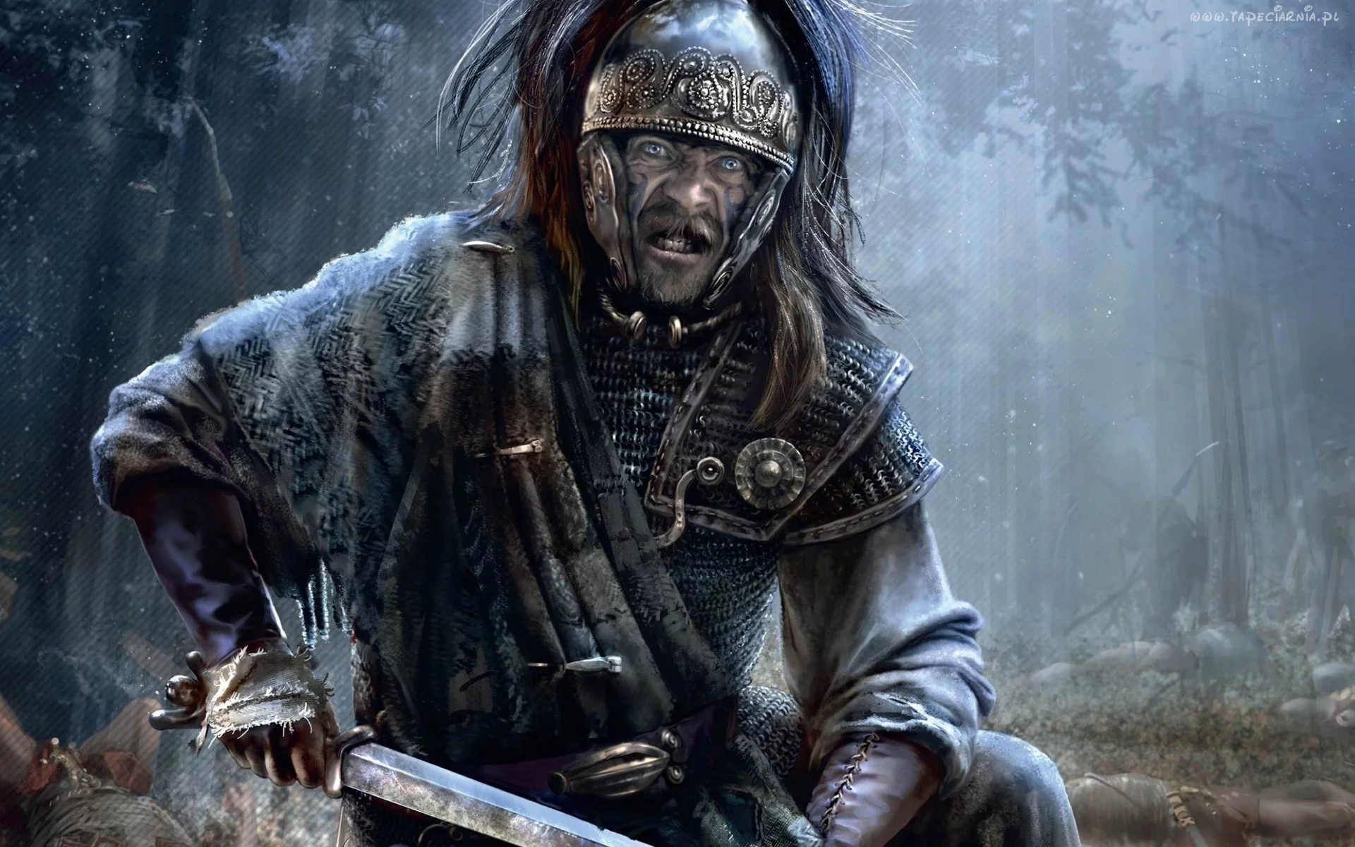 Rome II Total War, галлы, взгляд