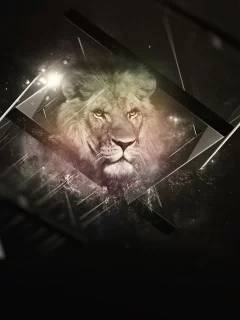 background, black, lion