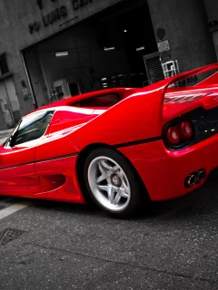 ferrari, феррари, улица, street, red, f50, красный, back, ф50