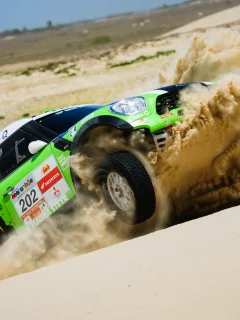 mini cooper, dakar, rally, мини купер, x-raid, песок, зеленый, mini