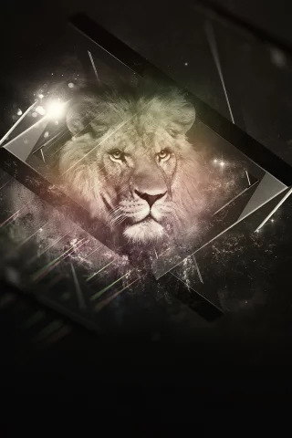 background, black, lion