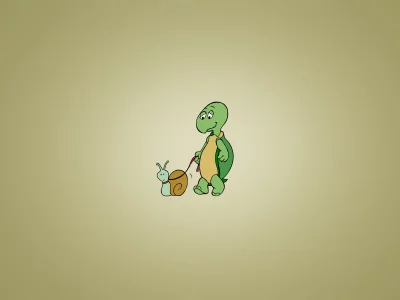 улитка, черепаха, turtle, поводок, snail, выгуливает