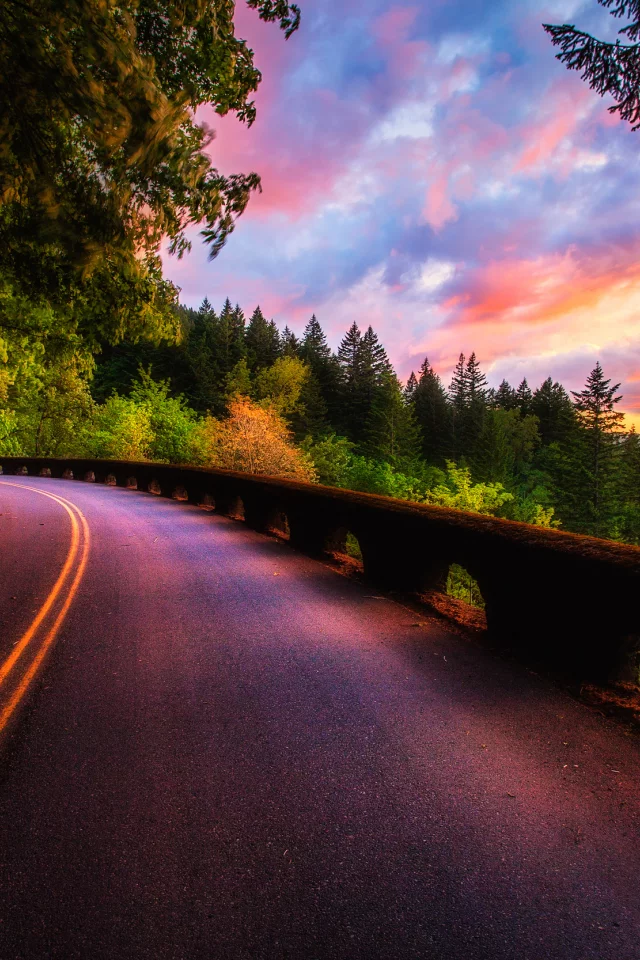 view, sky, nature, colors, trees, scenery, road, forest, landscape, природа, sunset, clouds
