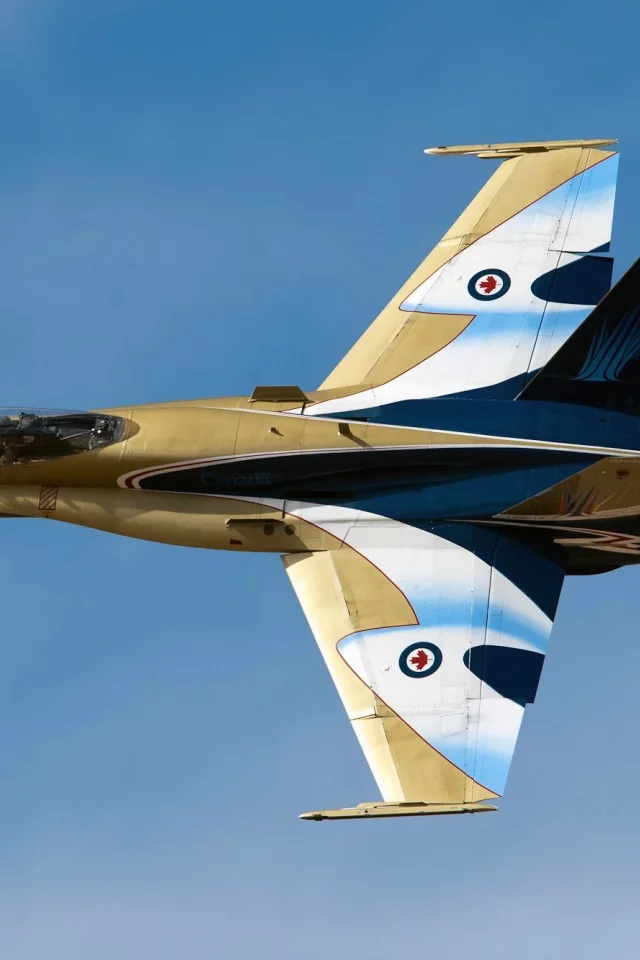 hornet, многоцелевой, cf-18, канадский, mcdonnell douglas
