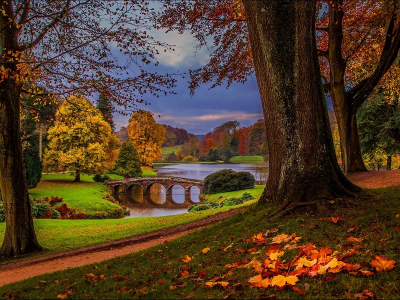water, leaves, autumn, river, sky, view, trees, walk, park, nature, forest, fall, alley, hdr