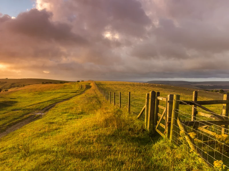 западный суссекс, англия, west sussex, england, great britain