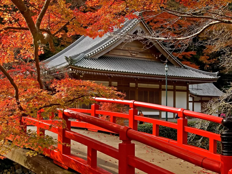 листья, дорога, клен, храм, деревья, japan, япония, мост