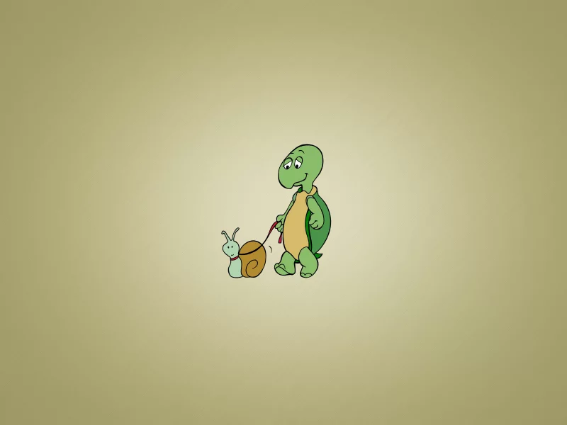 улитка, черепаха, turtle, поводок, snail, выгуливает