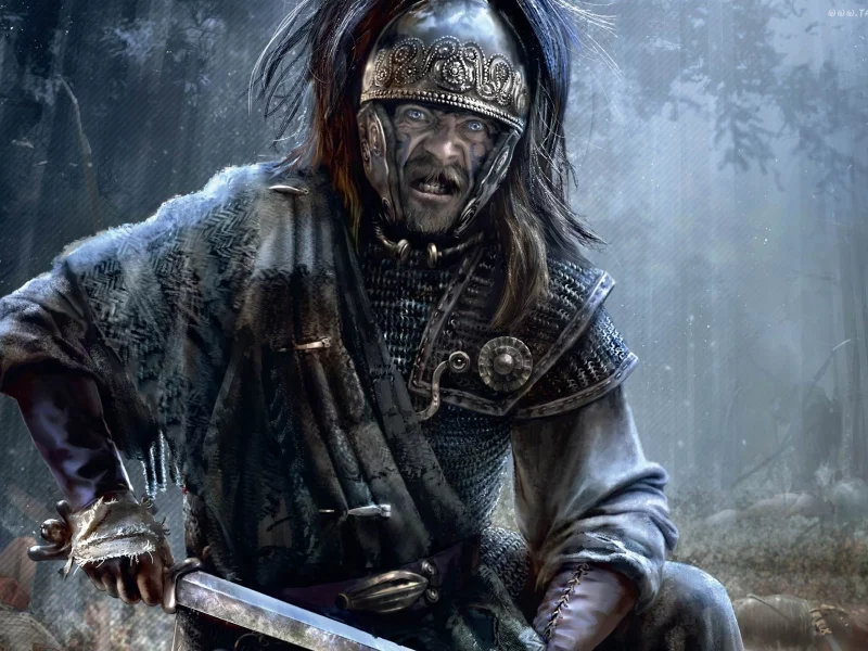 Rome II Total War, галлы, взгляд