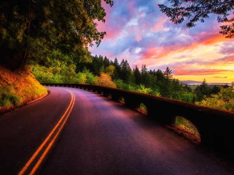 view, sky, nature, colors, trees, scenery, road, forest, landscape, природа, sunset, clouds