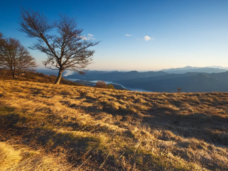 трава, природа, горы, пейзаж, деревья, nature
