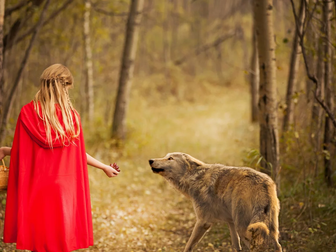 волк, red and wolf, девочка, лес