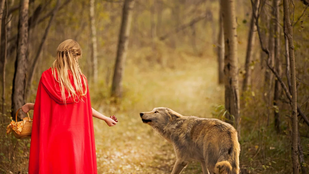 волк, red and wolf, девочка, лес