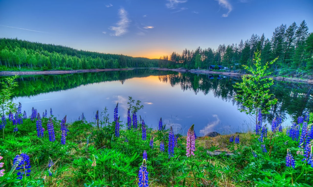 природа, речка