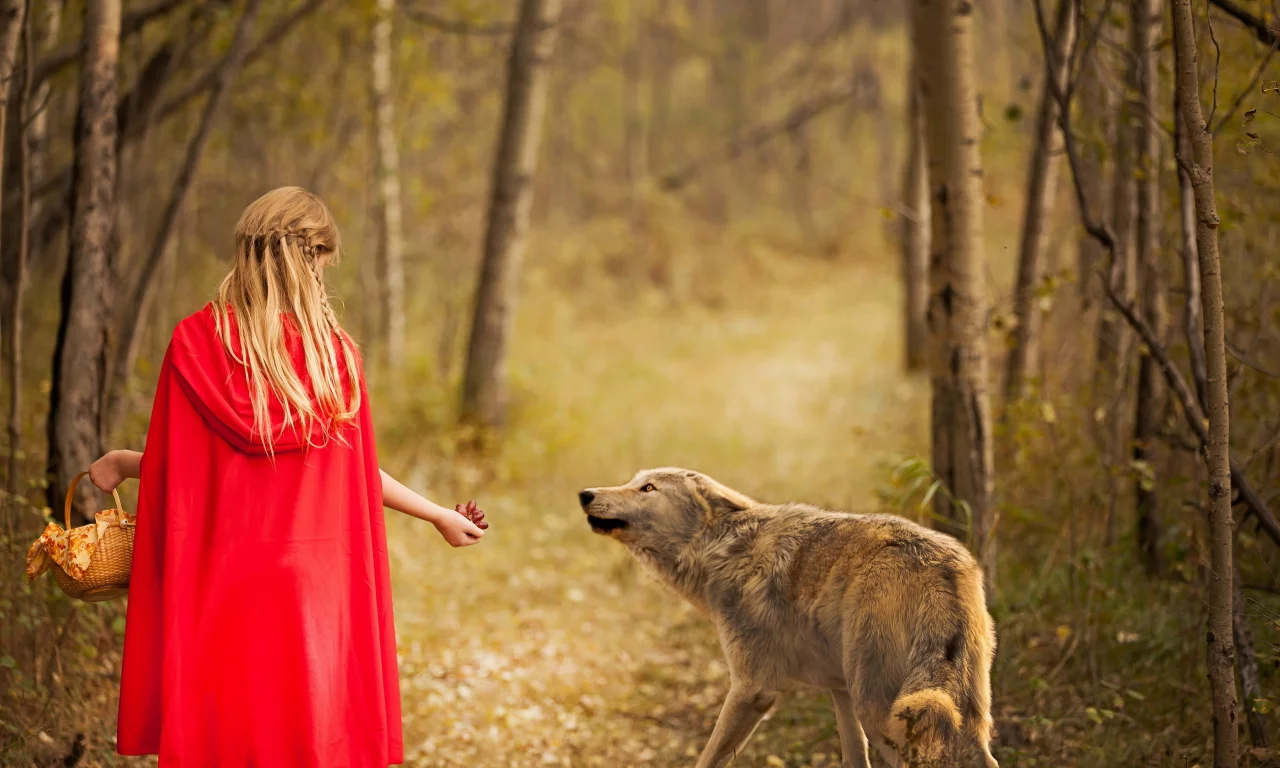 волк, red and wolf, девочка, лес