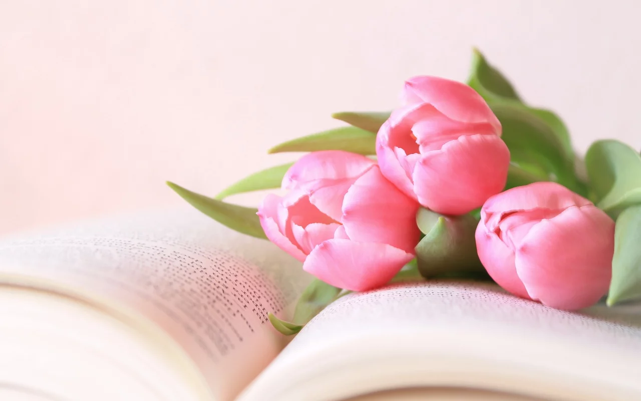 цветы, тюльпаны, книга