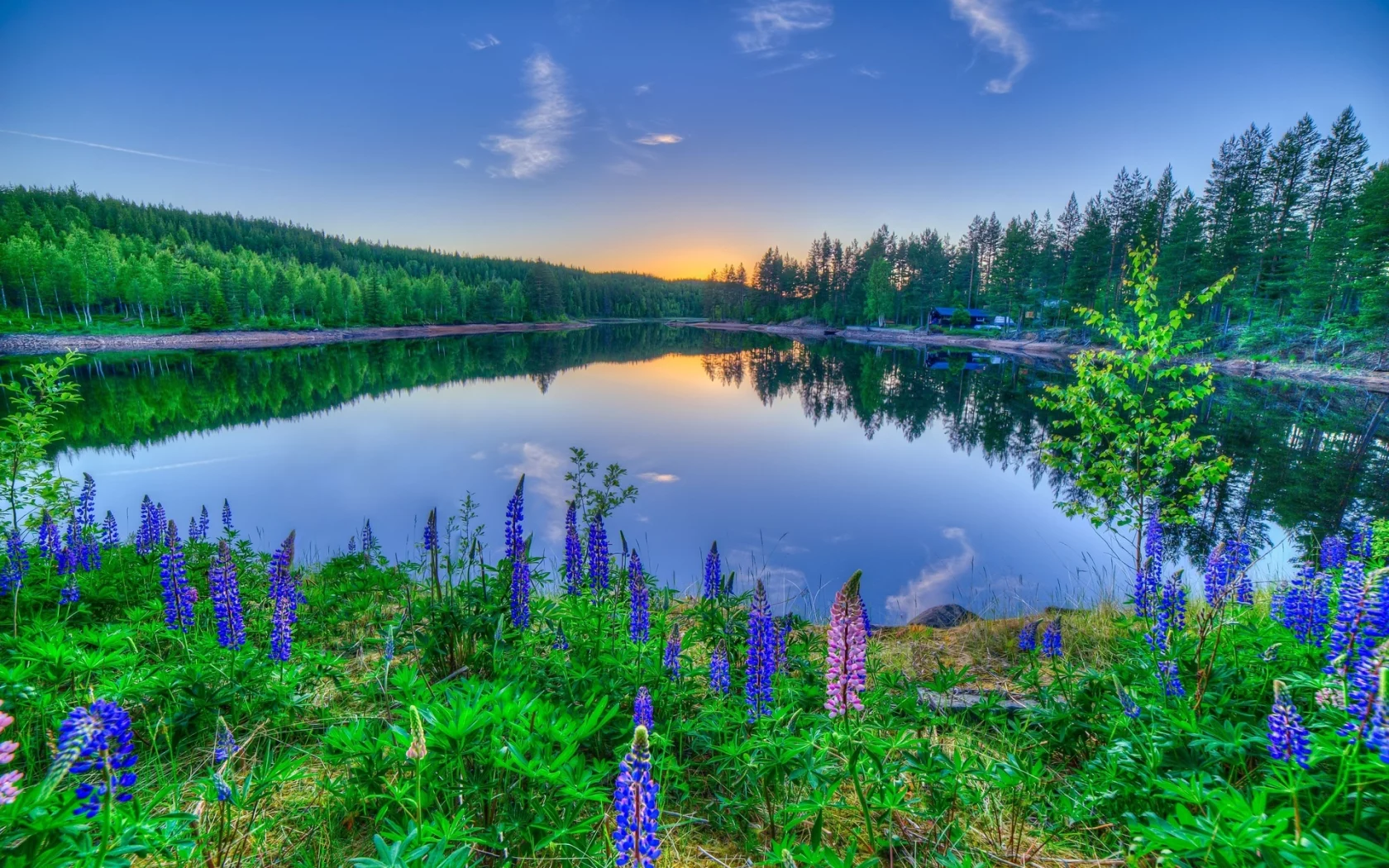 природа, речка