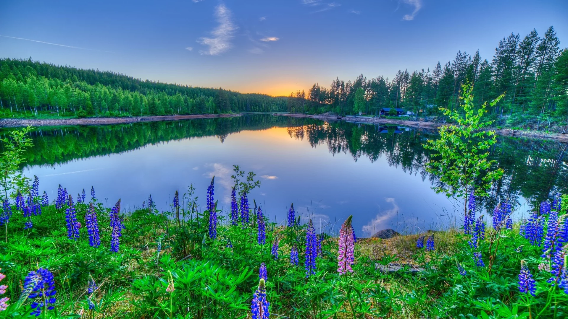 природа, речка