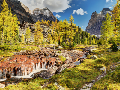 горы, canada, yoho national park, деревья, канада, речка