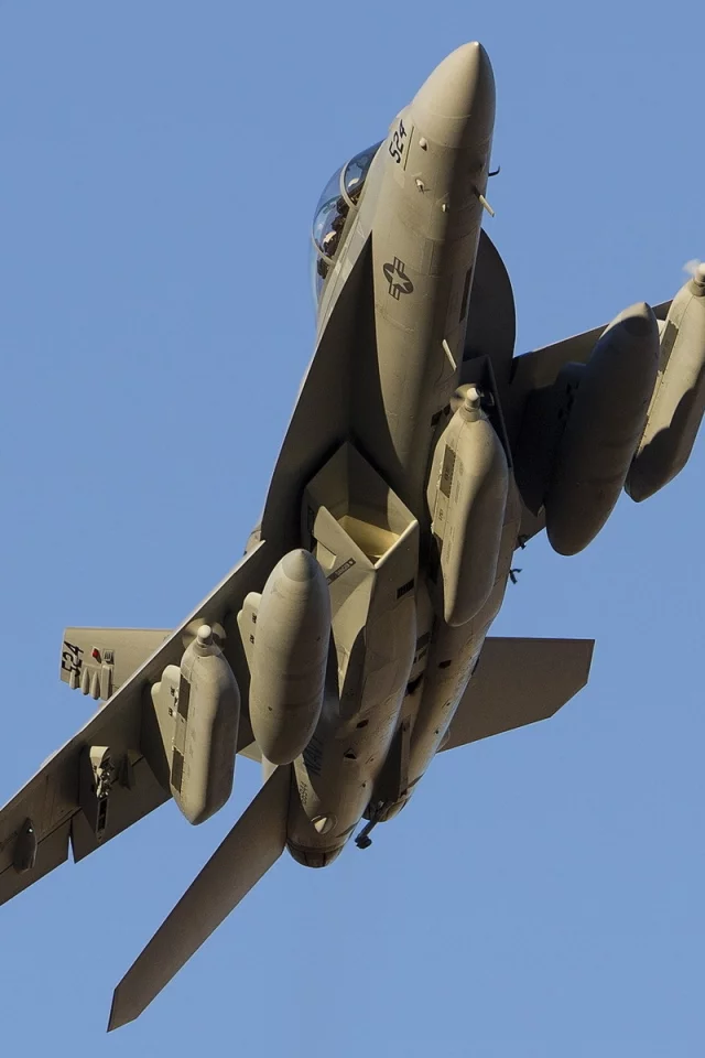 оружие, самолёт, thunder42 vaq-135 black ravens f-18g