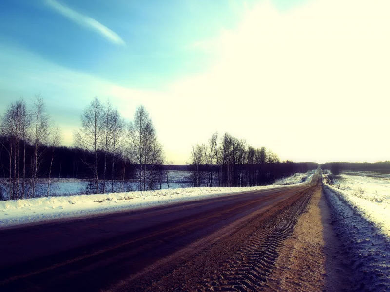 дорога, поле, лес, деревья, зима, самарская лука, кусты, небо, снег