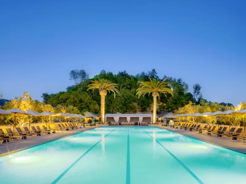 пальмы, экстерьер, бассейн, деревья, desigen, pool, exterior