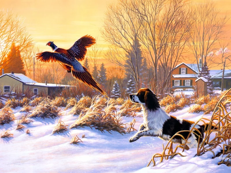 природа, getting up, искусство, frank mittelstadt, снег, зима